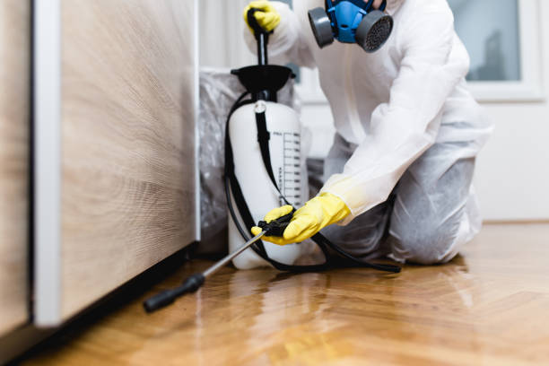 Professional Pest Control in North Wilkesboro, NC