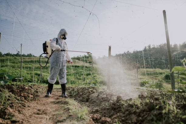 Best Pest Removal Services  in North Wilkesboro, NC