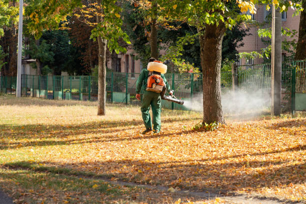 Best Bed Bug Extermination  in North Wilkesboro, NC