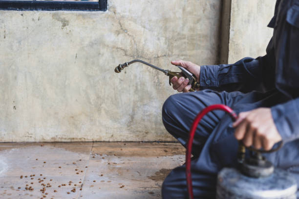 Best Pest Control Near Me  in North Wilkesboro, NC