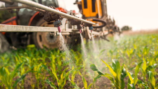 Best Commercial Pest Control Services  in North Wilkesboro, NC